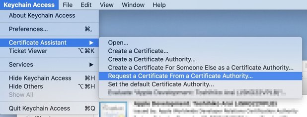 Request a Certificate From a Certificate Authorityを選択