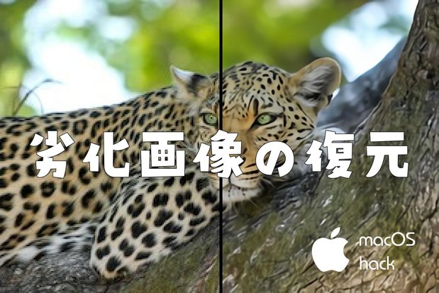 【シェル】waifu2xで劣化した写真や画像を高画質化【macOS】